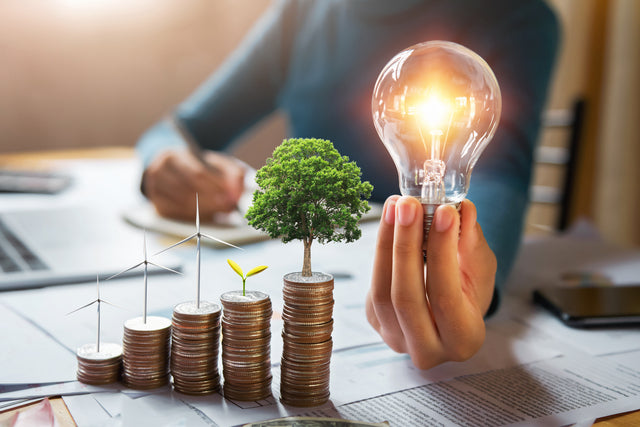 640 SM-businessman-holding-lightbulb-with-turbine-and-tree-grow-on-coins-concept-saving-energy-and-finance-accounting - Copy.jpg__PID:c3ae6030-1f31-41f6-baea-3667dc23328b